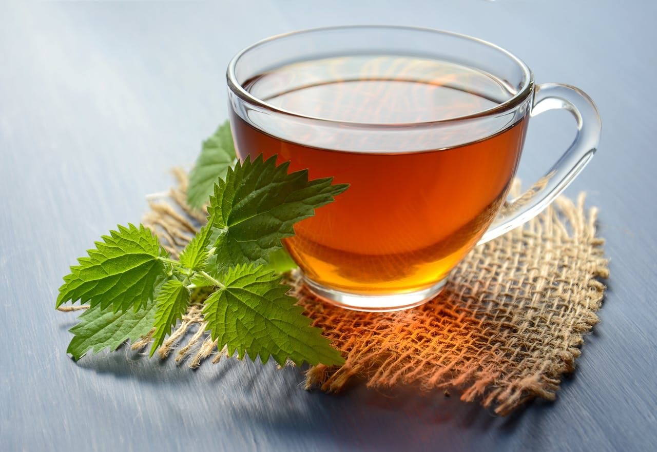 Top 10 Science-Backed Health Benefits of Green Tea | USA Guide 2025